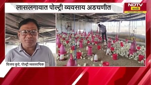 उन्हाचा कडाका वाढला, पोल्ट्री व्यवसायाला फटका; लासलगावात पोल्ट्री व्यवसाय अडचणीत | Heatwave