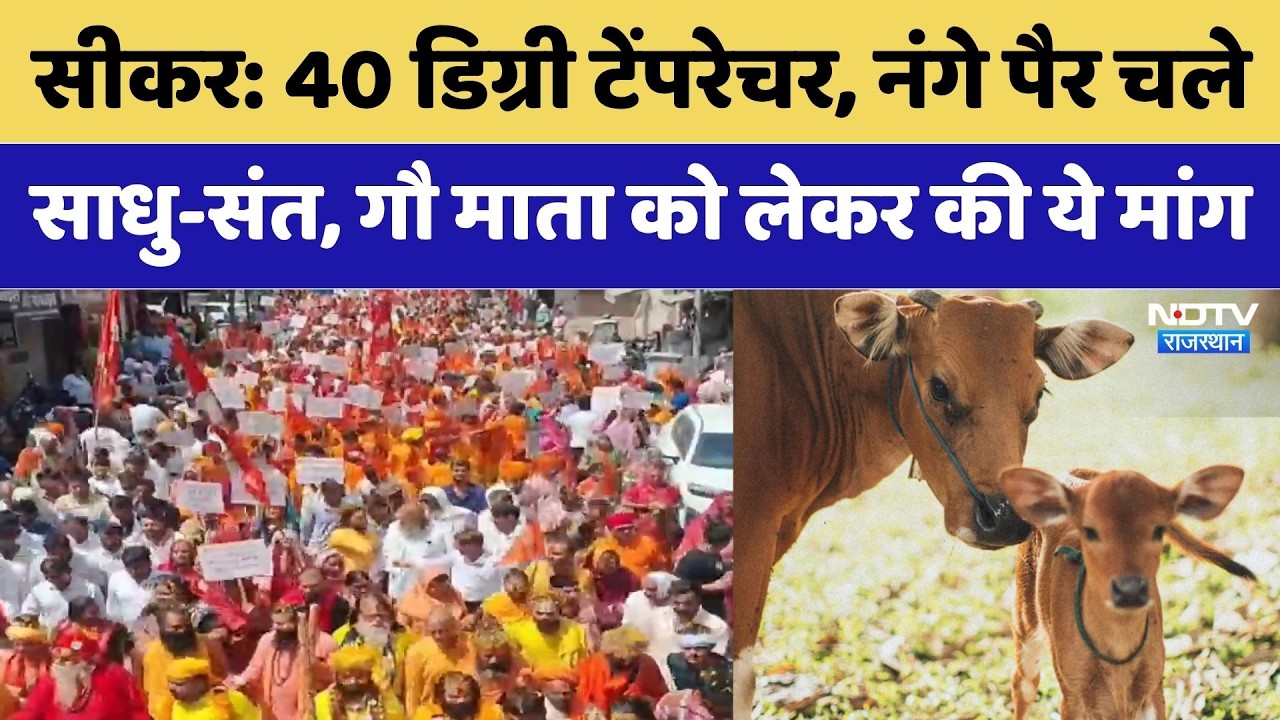 Sikar Rally: साधु-संतों ने की गाय को राष्ट्रीय माता का दर्जा दिलाने की मांग | Rajasthan Top News