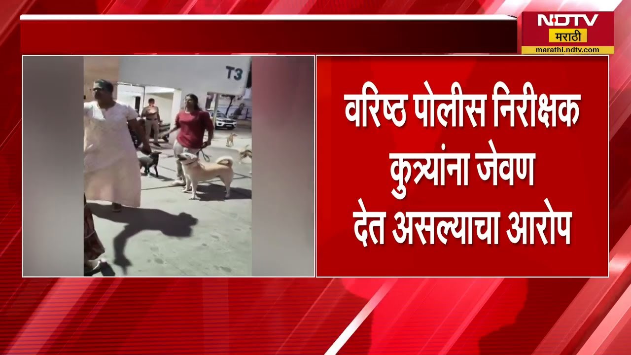 भटक्या कुत्र्यांवरुन दोन पोलीस अधिकारी भिडले! Mumbai च्या कलिना Police Camp मधील घटना | NDTV मराठी