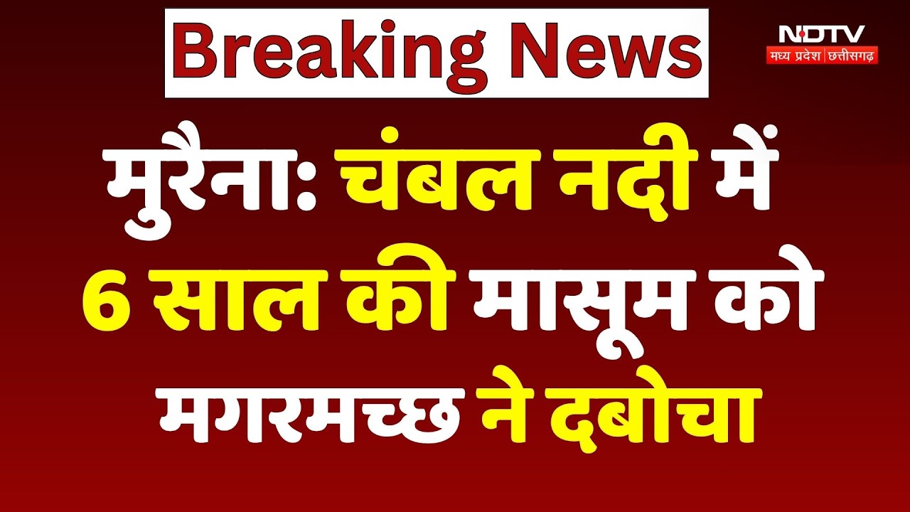 Chambal River Crocodile Attack: नदी में नहाने गई बच्ची को मगरमच्छ ने दबोचा, दर्दनाक मौत! MP News