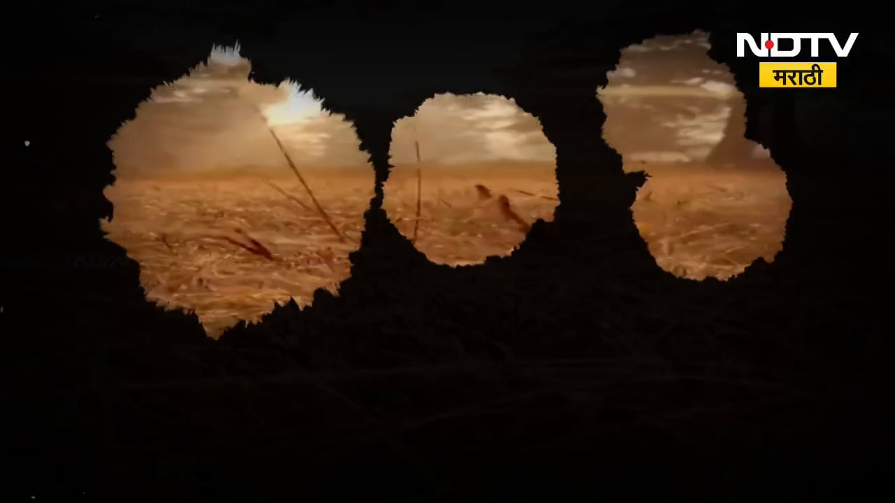 Show | PM Modi, Amit Shah यांच्याकडून 'नक्षलबारी'चा द एन्ड; गडचिरोली रेड कॉरिडॉरचा भाग कसा बनला?