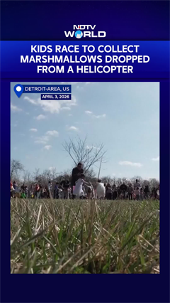 Hundreds Of Kids Race To Collect Marshmallows Dropped From Helicopter As Part Of Easter Festivities