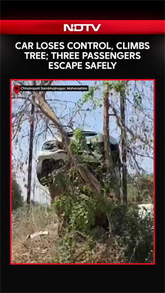 Viral Video: Car Climbs Onto Tree in Chhatrapati Sambhajinagar, Major Accident Averted