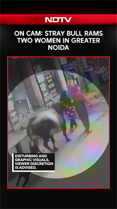 On Camera, Stray Bull Rams Two Women In Greater Noida