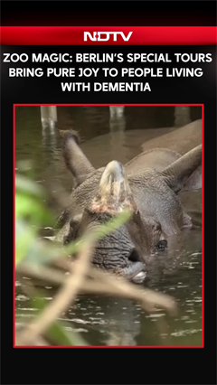 Berlin's Special Tours Bring Joy To People Living With Dementia