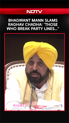 Punjab CM Bhagwant Mann Reacts To Raghav Chdadha&rsquo;s Demotion