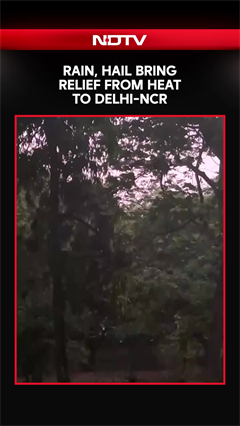 Delhi Rain News Today | Rain, Hail Bring Relief From Heat To Delhi-NCR