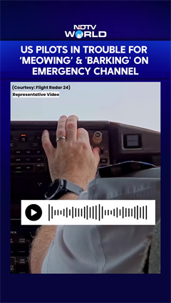 US News Today | US Pilots Lands In Trouble For &lsquo;Meowing&rsquo; And 'Barking' On Emergency Flight Channel