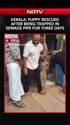 Kerala News: Puppy Rescued After Being Trapped In Sewage pipe for three days