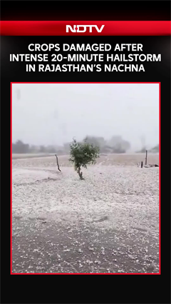 Crops Damaged After Intense 20-Minute Hailstrom In Rajasthan