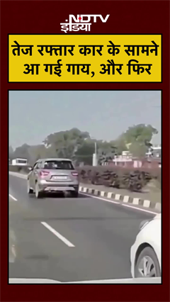 #viral तेज रफ्तार कार के सामने आ गई गाय, और फिर | Rajasthan News | #shorts #ytshorts