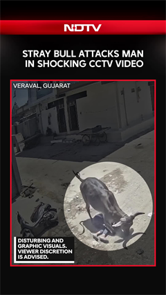 Video: On Cam: Stray Bull Attacks Man In Gujarat, CCTV Captures Horror