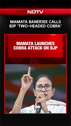 Bengal News | Mamata Banerjee Calls BJP "Two-Headed Cobra", Voter List Row Explodes in Bengal