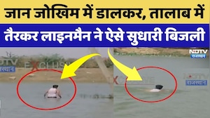 Bundi के इस Lineman की बहादुरी को सलाम | Video Viral | Top News | Rajasthan | Real Life Hero