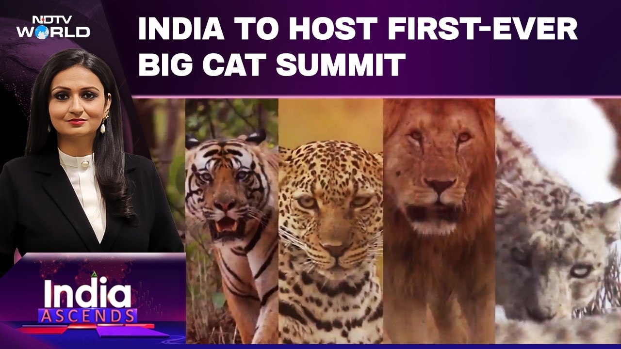 Big Cat Summit 2026: New Chapter In India's Wildlife Story | India Ascends