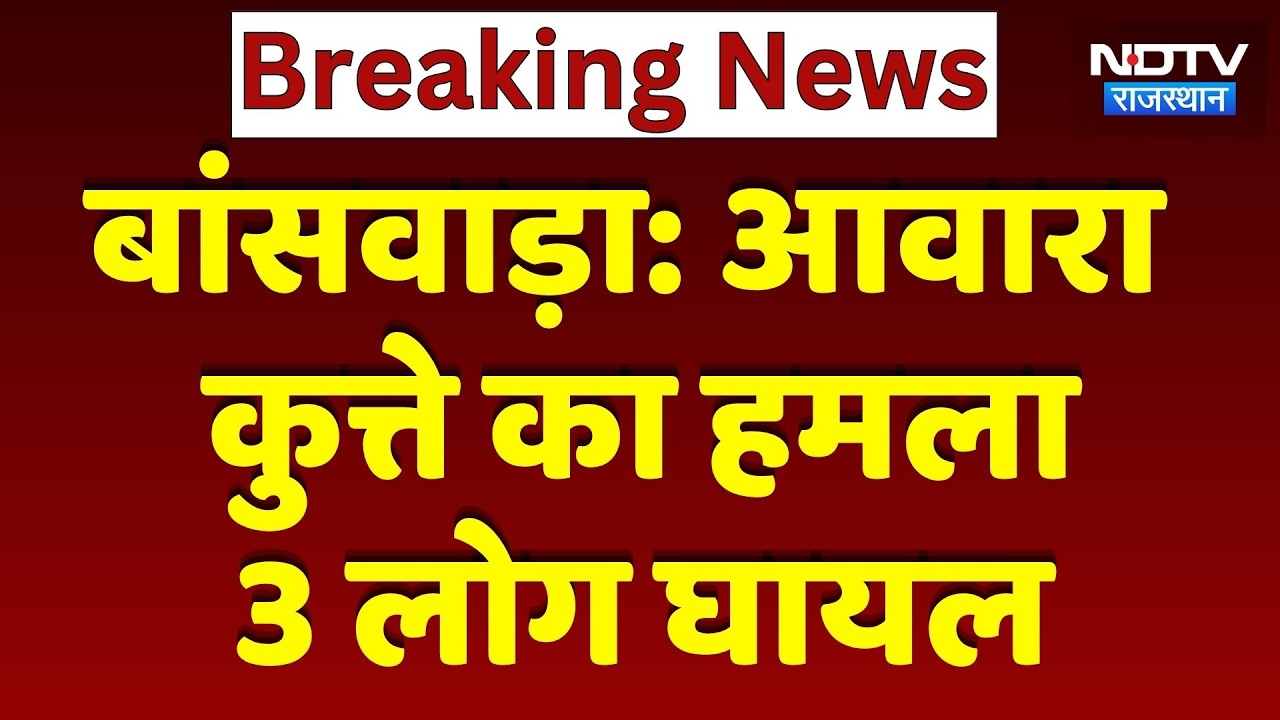 Banswara Dog Attack: आवारा कुत्ते का हमला, 3 लोग घायल | Rajasthan News । Breaking । NDTV । Latest