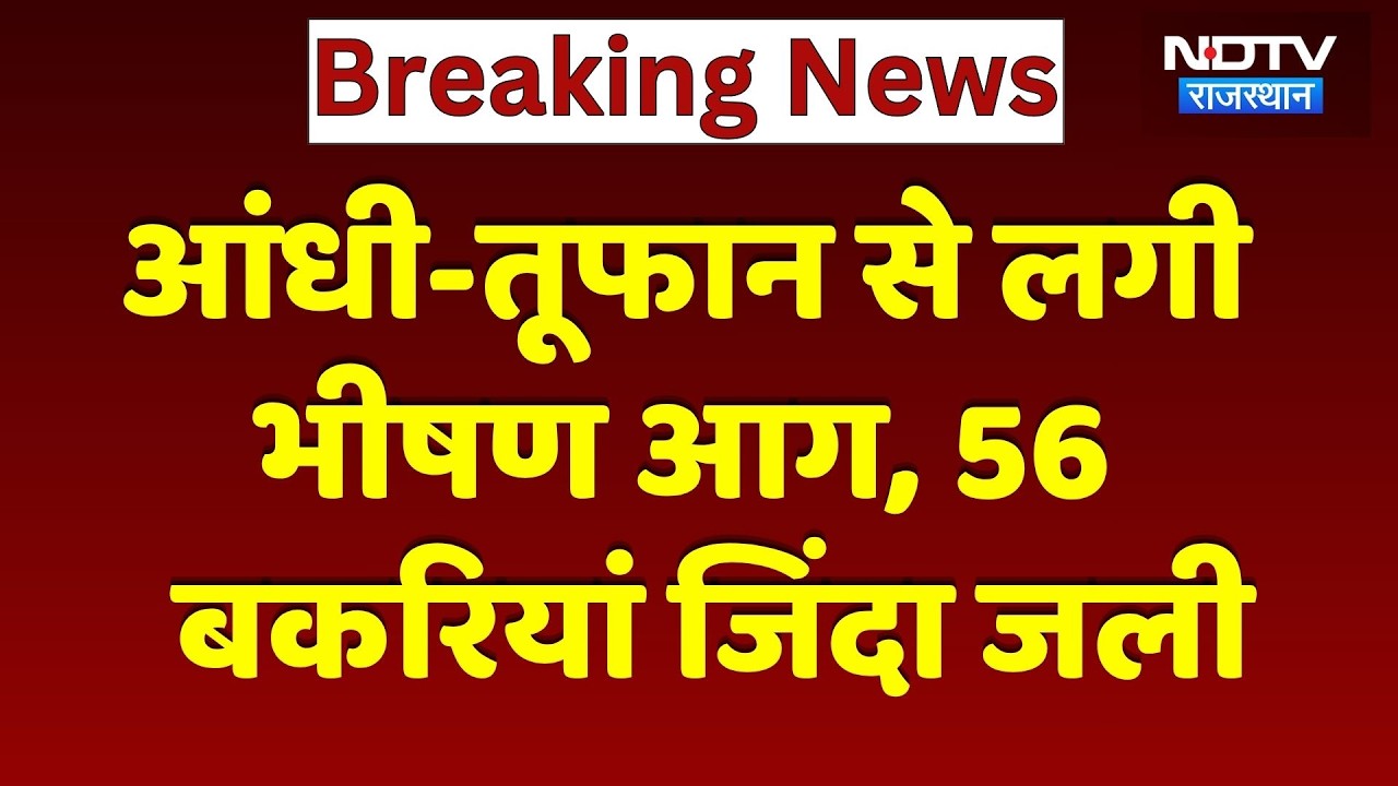 Fire Accident in Dausa: भीषण आग में 56 बकरियां जिंदा जलीं | Dausa News | Breaking News | Top News