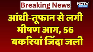 Fire Accident in Dausa: भीषण आग में 56 बकरियां जिंदा जलीं | Dausa News | Breaking News | Top News