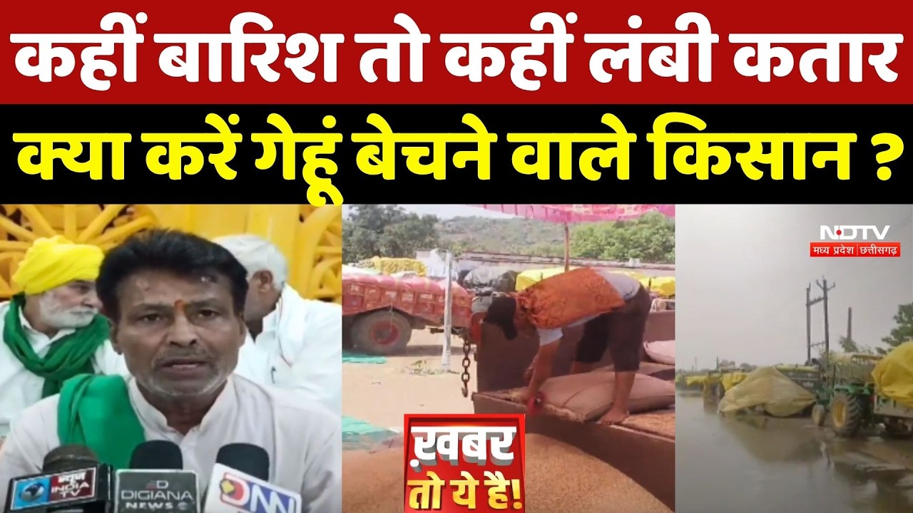MP Wheat Procurement: कहीं बारिश तो कहीं लंबी कतार...Gehu बेचने वाले Farmers क्या करें?
