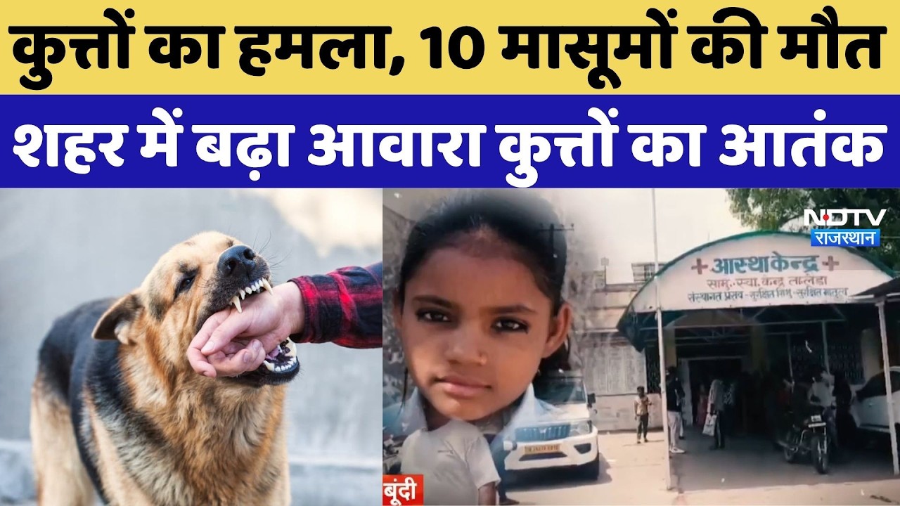 Rajasthan Dog Attack Case: कुत्तों का हमला, 10 मासूमों की मौत शहर में बढ़ा आवारा कुत्तों का आतंक