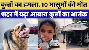 Rajasthan Dog Attack Case: कुत्तों का हमला, 10 मासूमों की मौत शहर में बढ़ा आवारा कुत्तों का आतंक