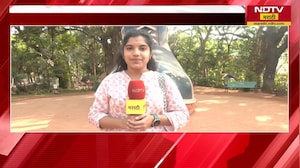 Mumbai | 'म्हातारीच्या बुटा'साठी BMC 7 कोटी खर्च करणार
