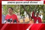 आंब्याच्या झाडाला सीताफळं? Bhiwandi मध्ये अजब प्रकार | NDTV मराठी