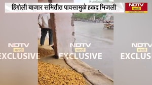Hingoli मध्ये मुसळधार पाऊस शेतकऱ्यांची उडाली तारांबळ | NDTV मराठी