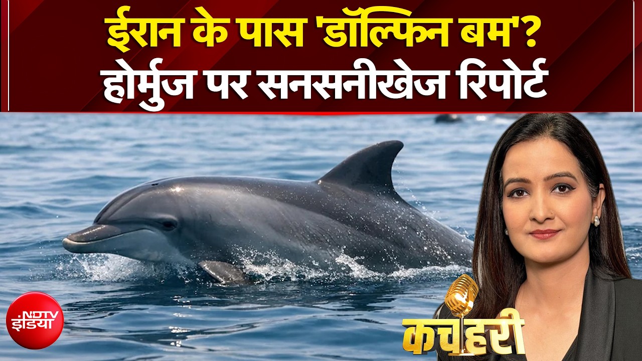 What is Killer Dolphin Plan:अवतार जैसी मूवी हकीकत में बदल रहा ईरान! समंदर में लाया 'डॉल्फिन बम', दुनिया में हड़कंप
