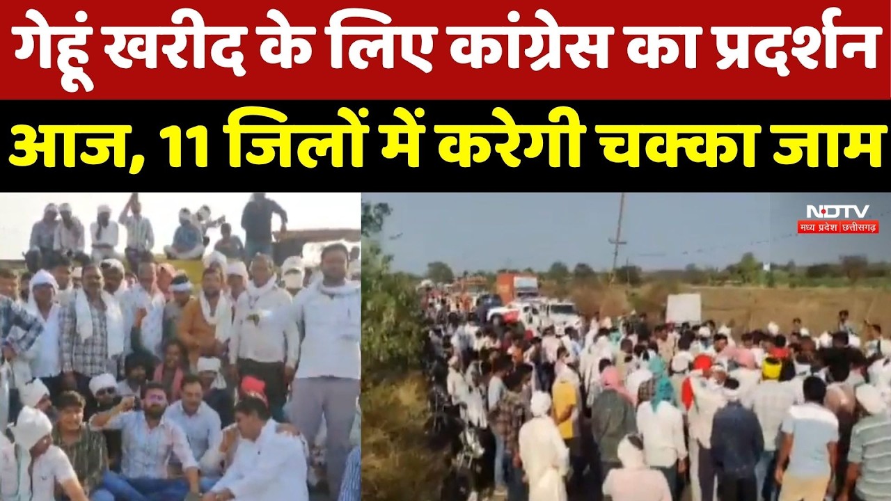 MP Politics: गेहूं खरीदी में अव्यवस्था पर Congress का हल्लाबोल, Highway पर करेगी प्रदर्शन