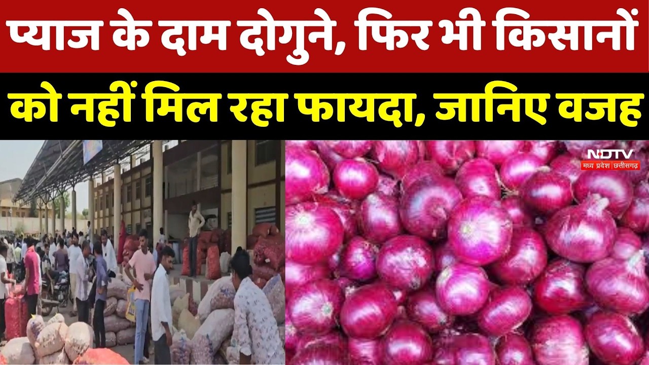 Agar Malwa News: Onion की फसल पर बीमारी की मार, बढ़े दामों के बाद भी किसान बेहाल