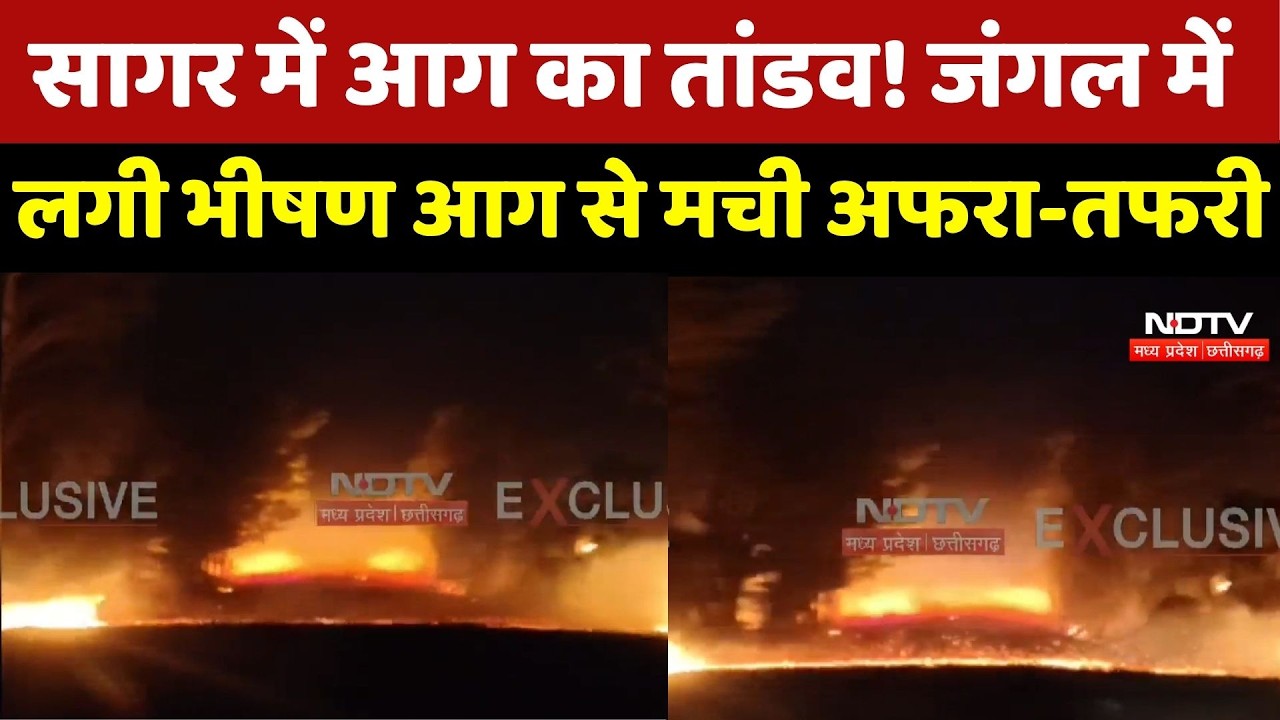 Sagar Fire News: सागर में आग का तांडव! जंगल में लगी भीषण आग से मची अफरा-तफरी