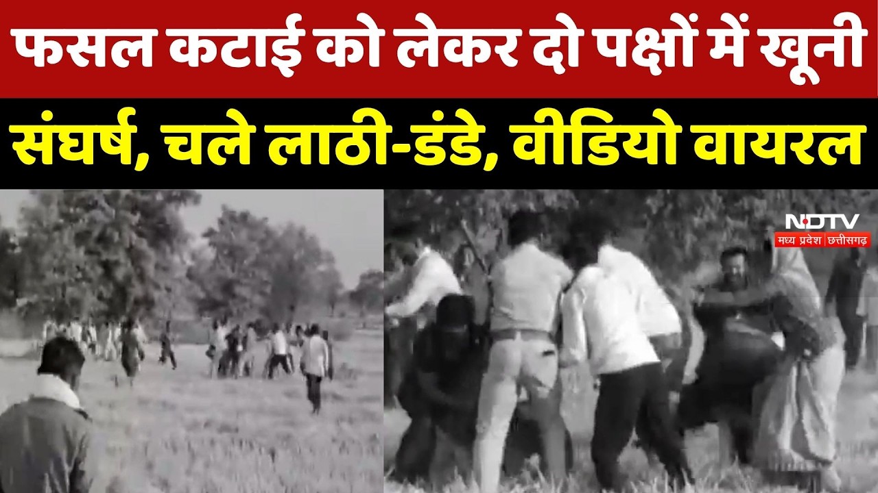 Chhindwara Crime News: फसल कटाई को लेकर दो पक्षों में खूनी संघर्ष, चले लाठी-डंडे, Video Viral