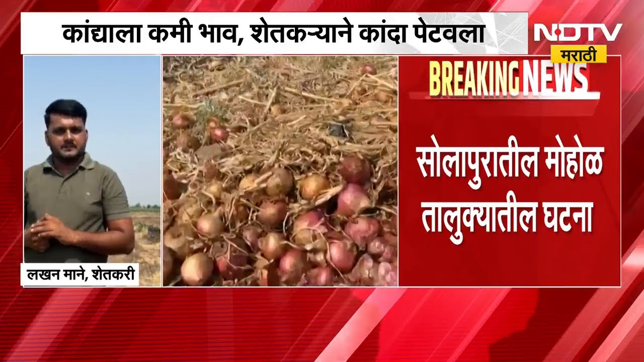 कांद्याला कमी भाव! Solapur मधील शेतकऱ्यानं कांदा पेटवला | NDTV मराठी