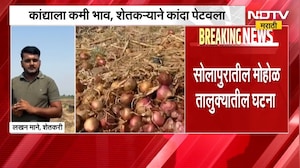 कांद्याला कमी भाव! Solapur मधील शेतकऱ्यानं कांदा पेटवला | NDTV मराठी
