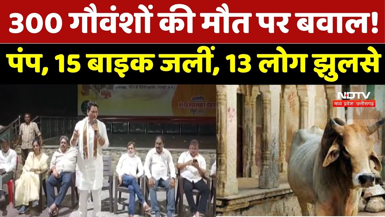 Bhilai में 300 गौवंश मौत मामला! विरोध प्रदर्शन पर 17 लोगों पर FIR