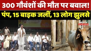 Bhilai में 300 गौवंश मौत मामला! विरोध प्रदर्शन पर 17 लोगों पर FIR