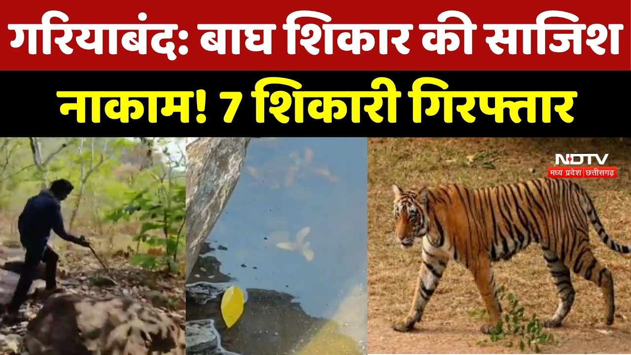 Gariyaband News : बाघ शिकार की साजिश नाकाम! 7 शिकारी गिरफ्तार