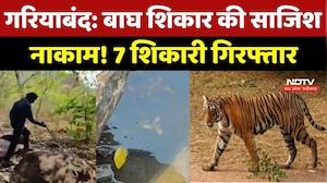 Gariyaband News : बाघ शिकार की साजिश नाकाम! 7 शिकारी गिरफ्तार