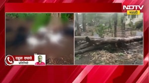 Satara Unseasonal Rain| वादळी वाऱ्यासह जोरदार पाऊस, कोंडवे परिसरात 22 शेळ्या मेंढ्यांचा मृत्यू
