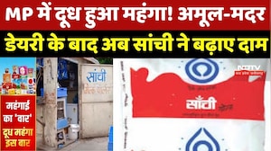 MP में दूध हुआ महंगा! Amul-Mother Dairy के बाद अब Sanchi ने बढ़ाए दाम