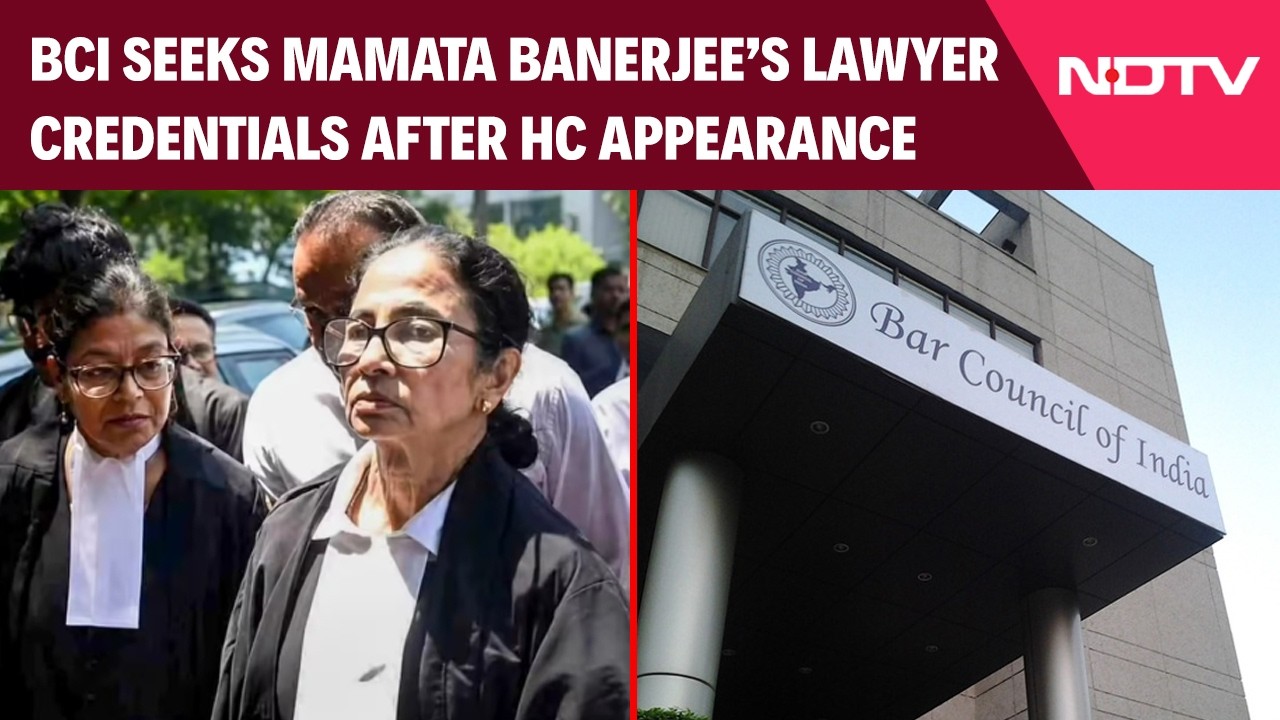Mamata News | Bar Council Seeks Mamata Banerjee's Lawyer Credentials After Calcutta HC Appearance