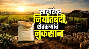 Explainer| साखरेवर निर्यातबंदी, शेतकऱ्यांचं नुकसान; साखरेच्या निर्यात बंदीमागचं 'राजकारण' काय?