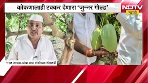 कोकणातील आंब्याला टक्कर देणारा 'जुन्नर गोल्ड'; Junner च्या शेतकऱ्याची कमाल | Pune | Mango | Farmers