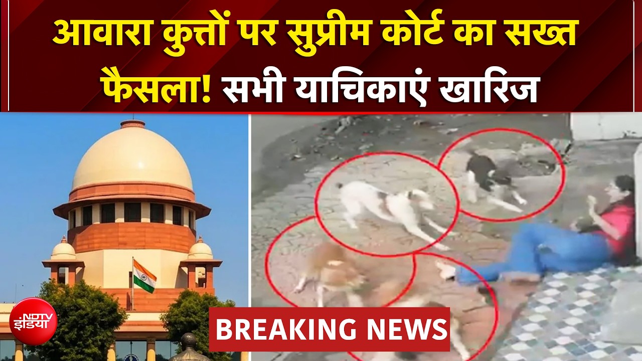 Supreme Court On Stray Dogs: कुत्तों के काटने की घटनाओं को अनदेखा नहीं कर सकते..सुप्रीम कोर्ट सख्त