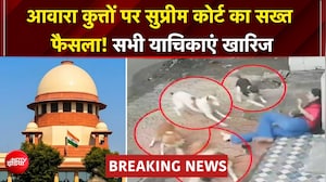 Supreme Court On Stray Dogs: कुत्तों के काटने की घटनाओं को अनदेखा नहीं कर सकते..सुप्रीम कोर्ट सख्त