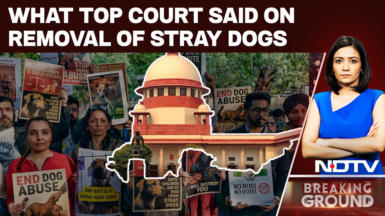 Stray Dogs News | Supreme Court Cites Right To Life With Dignity In Order On Stray Dogs