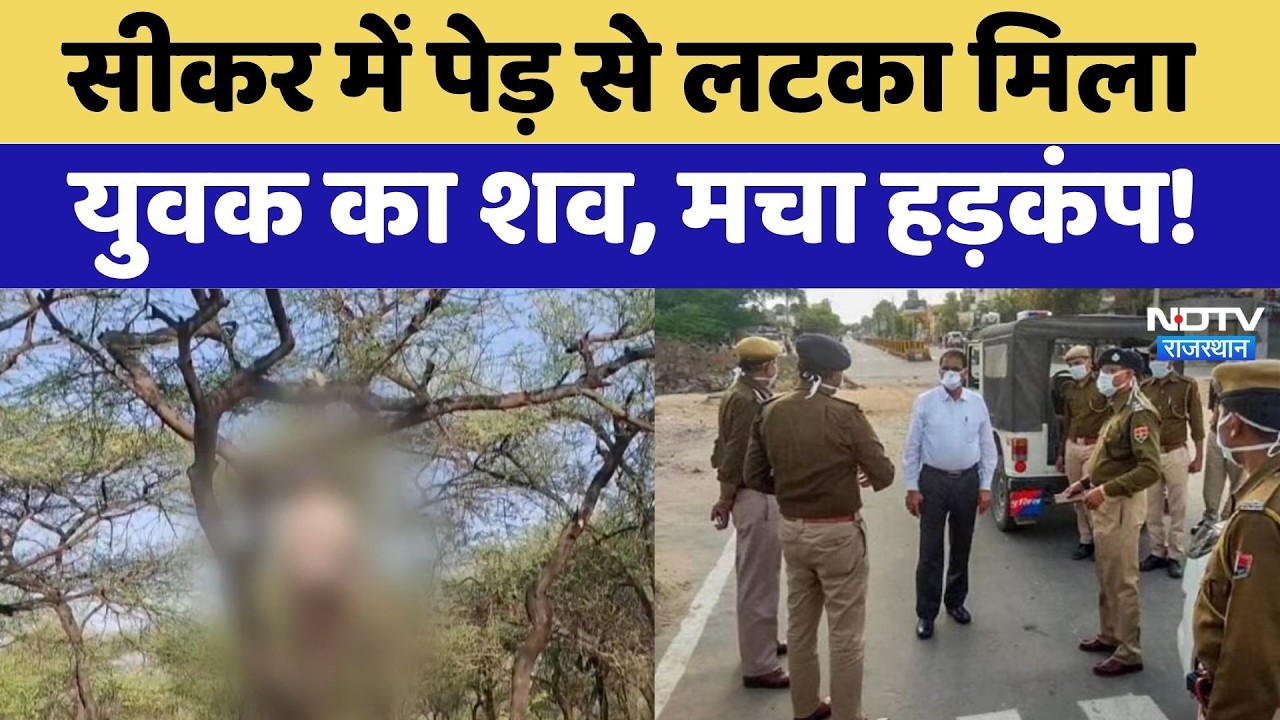 Sikar में पेड़ से लटका मिला युवक का शव, मचा हड़कंप! | Top News Rajasthan | Crime News