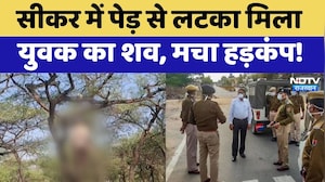 Sikar में पेड़ से लटका मिला युवक का शव, मचा हड़कंप! | Top News Rajasthan | Crime News