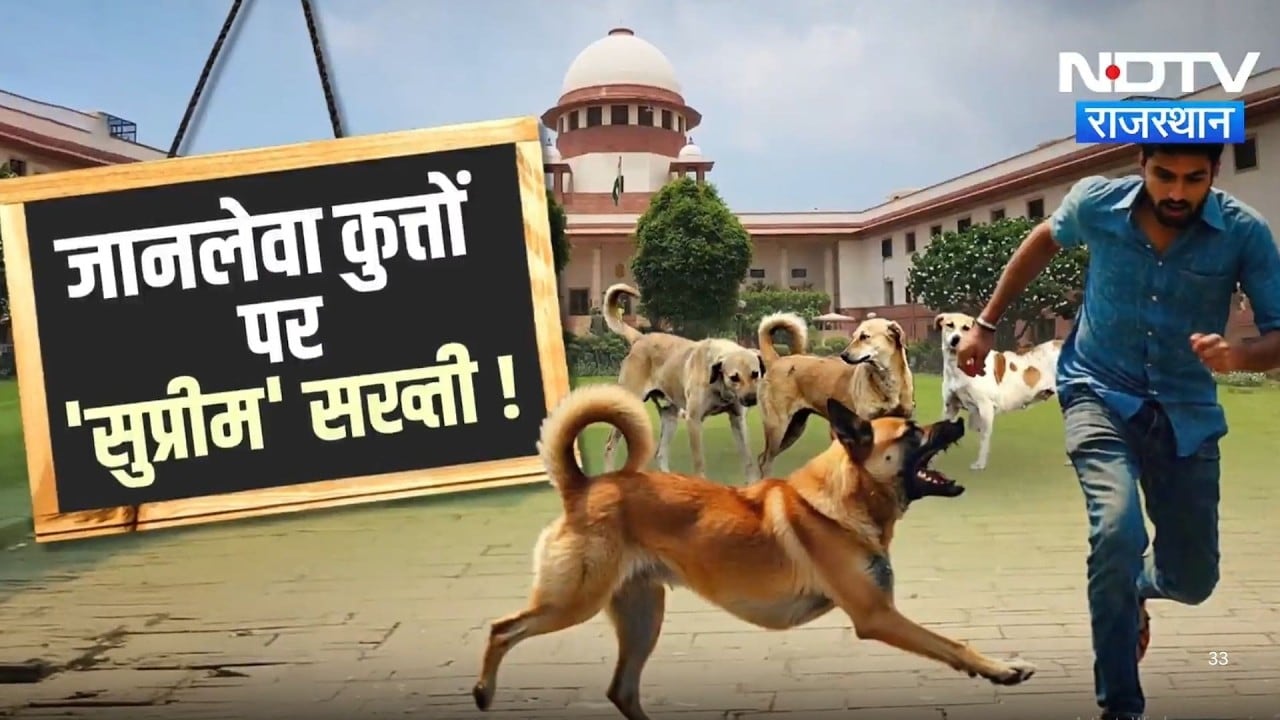 Stray Dogs को मारने के आदेश पर क्या बोले Experts | Supreme Court Verdict | Top News Rajasthan